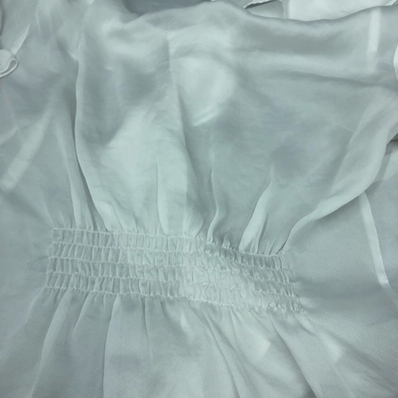 The Limited Sheer Ruffle Top - Picture 5 of 6